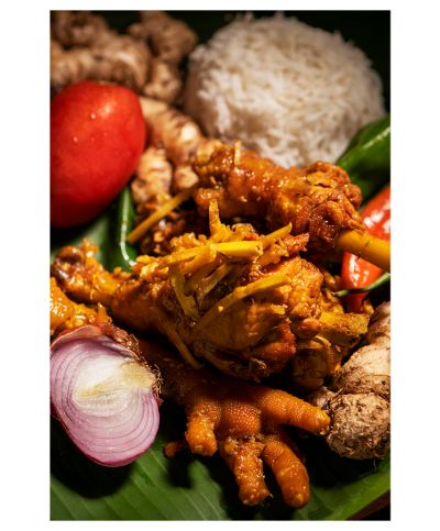 BOUCHIA-PHOTO-KARIPOULET