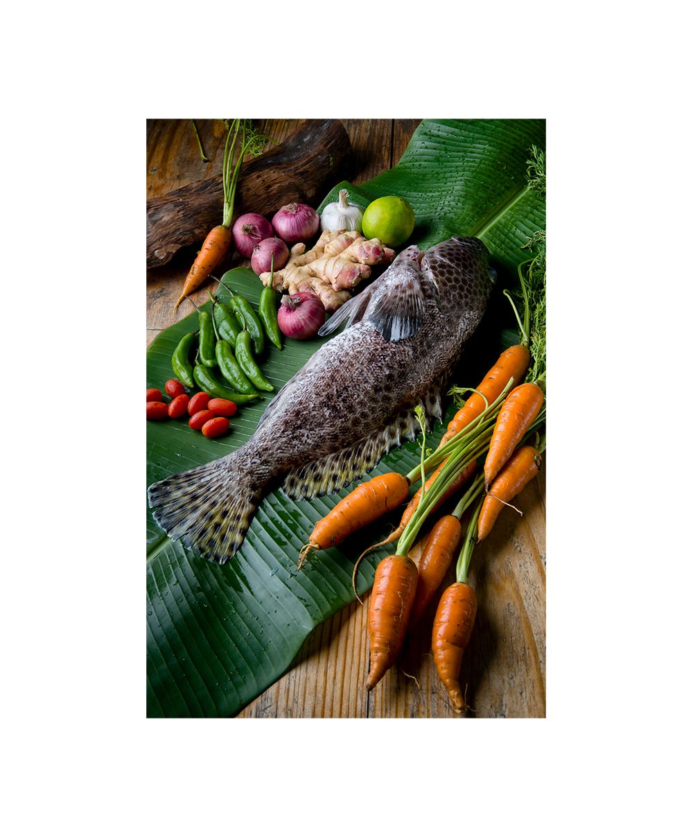 BOUCHIA-PHOTO-POISSON