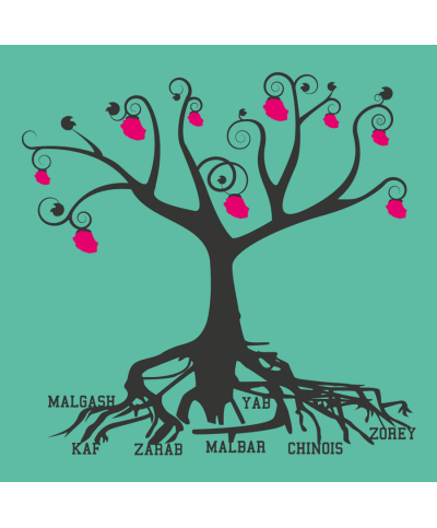 Arbre généalogique femme - Débardeur